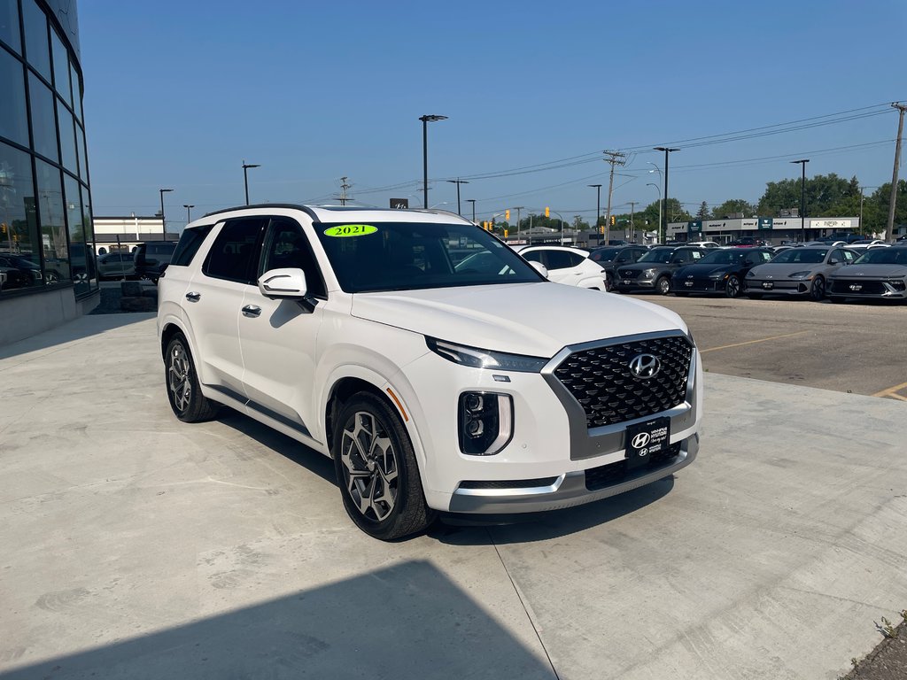 2021 Hyundai Palisade Ultimate Calligraphy in Winnipeg, Manitoba - 3 - w1024h768px