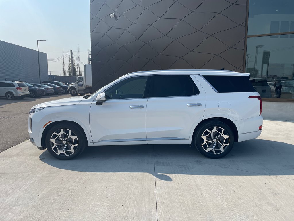 2021 Hyundai Palisade Ultimate Calligraphy in Winnipeg, Manitoba - 7 - w1024h768px