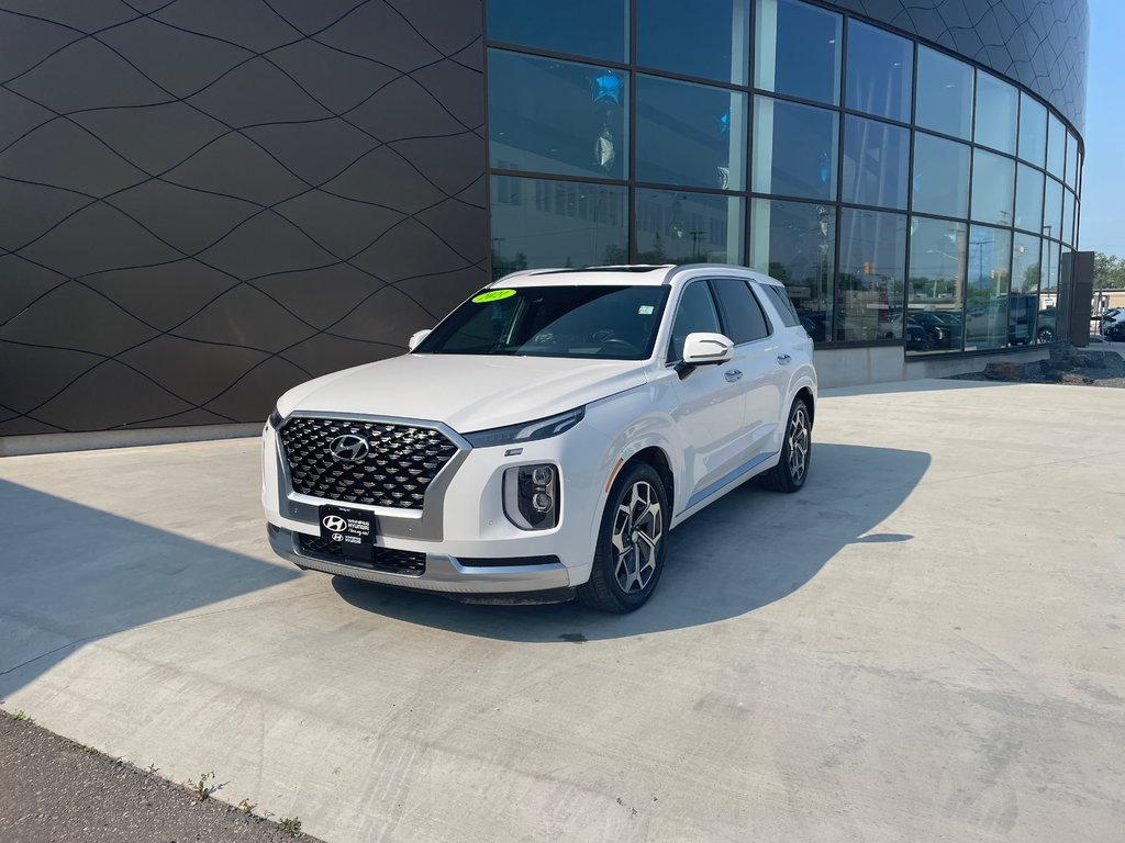 2021 Hyundai Palisade Ultimate Calligraphy in Winnipeg, Manitoba - 1 - w1024h768px