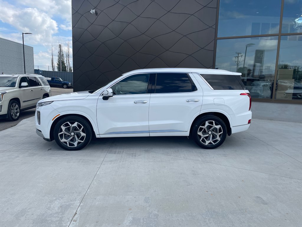 2021 Hyundai Palisade Ultimate Calligraphy in Winnipeg, Manitoba - 39 - w1024h768px