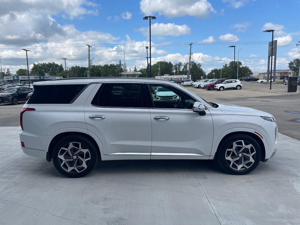 2021 Hyundai Palisade Ultimate Calligraphy in Winnipeg, Manitoba - 35 - w1024h768px