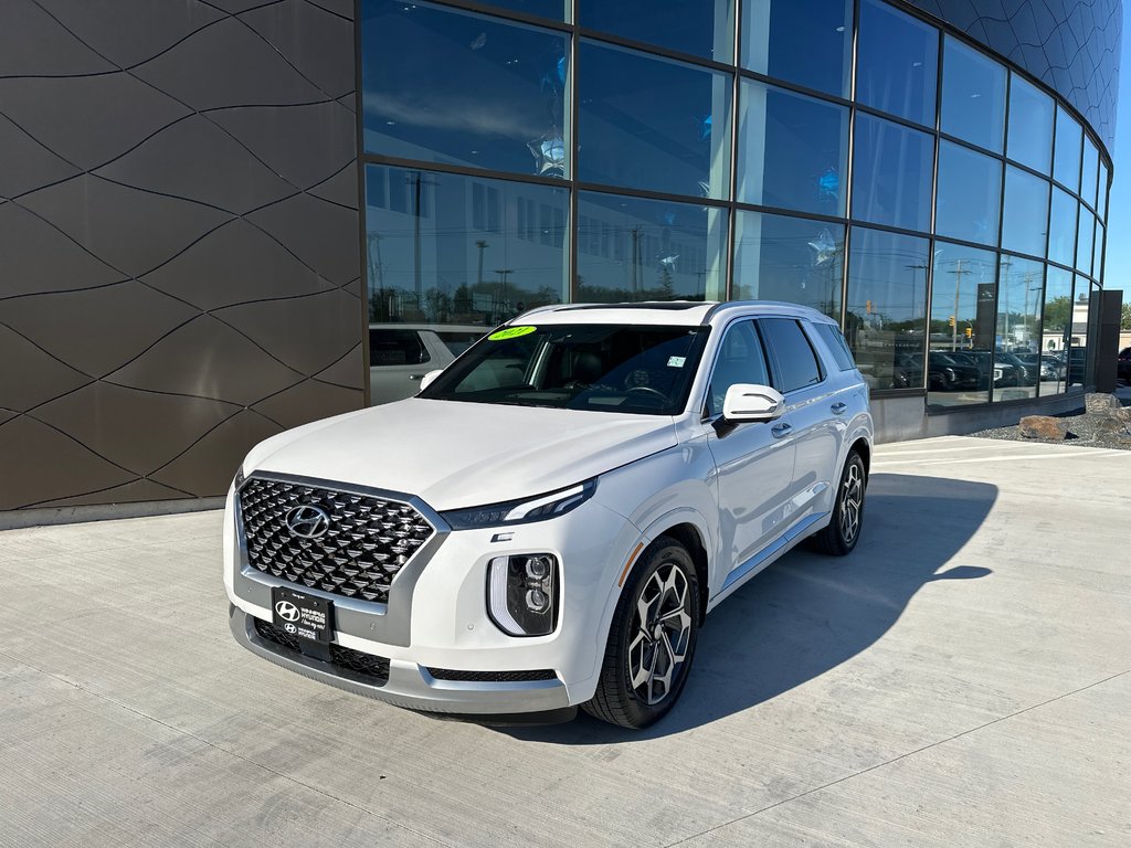 2021 Hyundai Palisade Ultimate Calligraphy in Winnipeg, Manitoba - 1 - w1024h768px