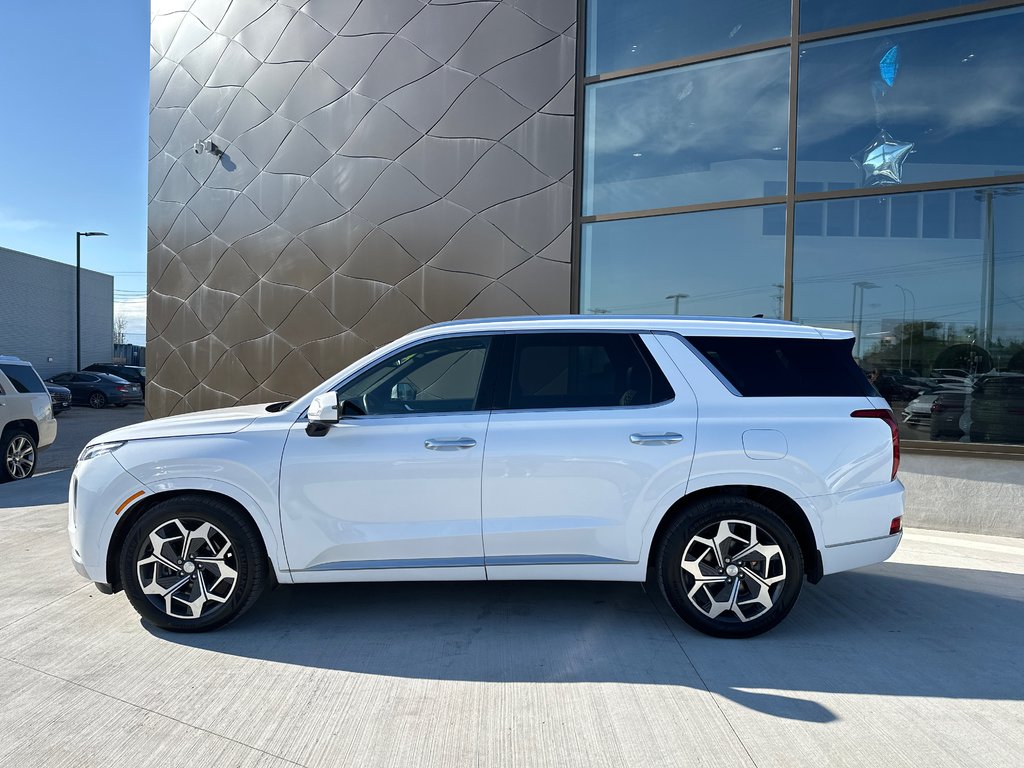 2021 Hyundai Palisade Ultimate Calligraphy in Winnipeg, Manitoba - 2 - w1024h768px