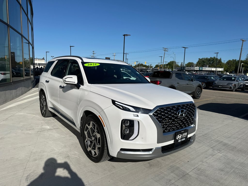 2021 Hyundai Palisade Ultimate Calligraphy in Winnipeg, Manitoba - 7 - w1024h768px