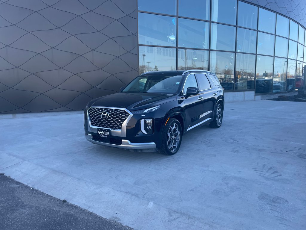 2021 Hyundai Palisade Ultimate Calligraphy in Winnipeg, Manitoba - 1 - w1024h768px