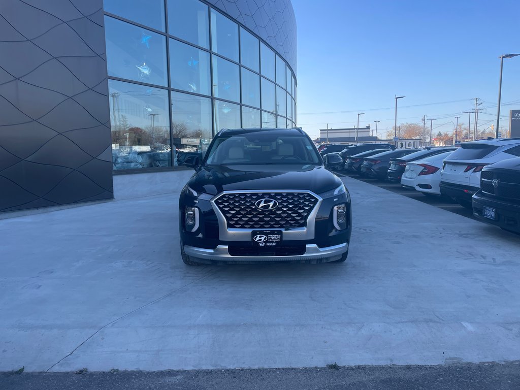 2021 Hyundai Palisade Ultimate Calligraphy in Winnipeg, Manitoba - 2 - w1024h768px