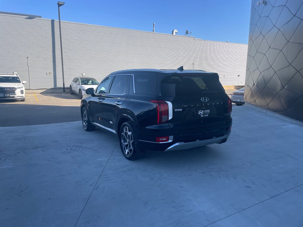 2021 Hyundai Palisade Ultimate Calligraphy in Winnipeg, Manitoba - 4 - w1024h768px