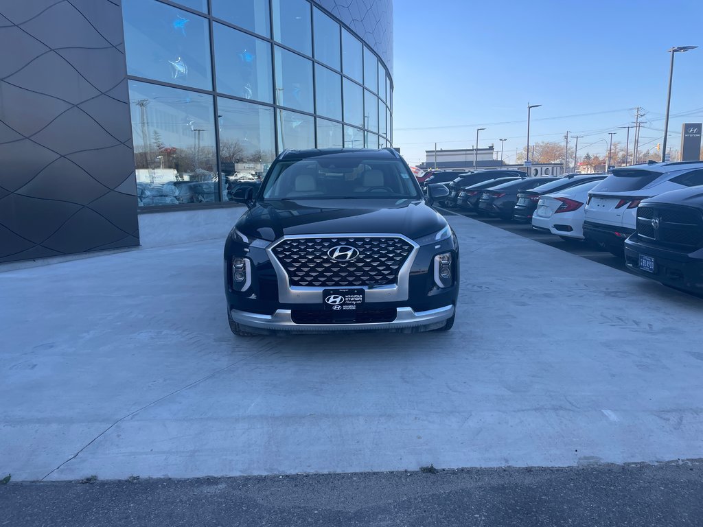 2021 Hyundai Palisade Ultimate Calligraphy in Winnipeg, Manitoba - 9 - w1024h768px