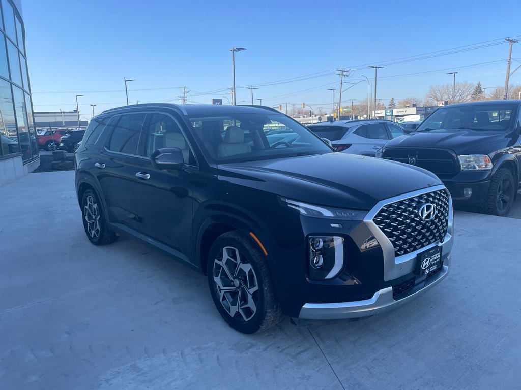 2021 Hyundai Palisade Ultimate Calligraphy in Winnipeg, Manitoba - 8 - w1024h768px