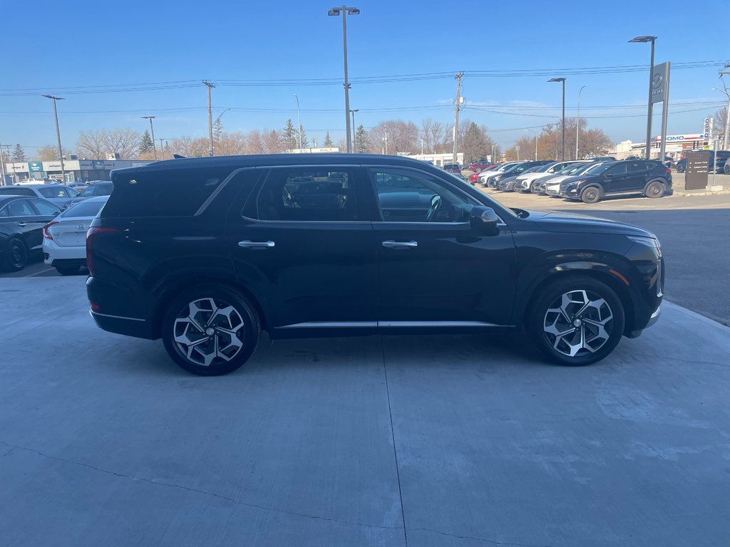 2021 Hyundai Palisade Ultimate Calligraphy in Winnipeg, Manitoba - 7 - w1024h768px