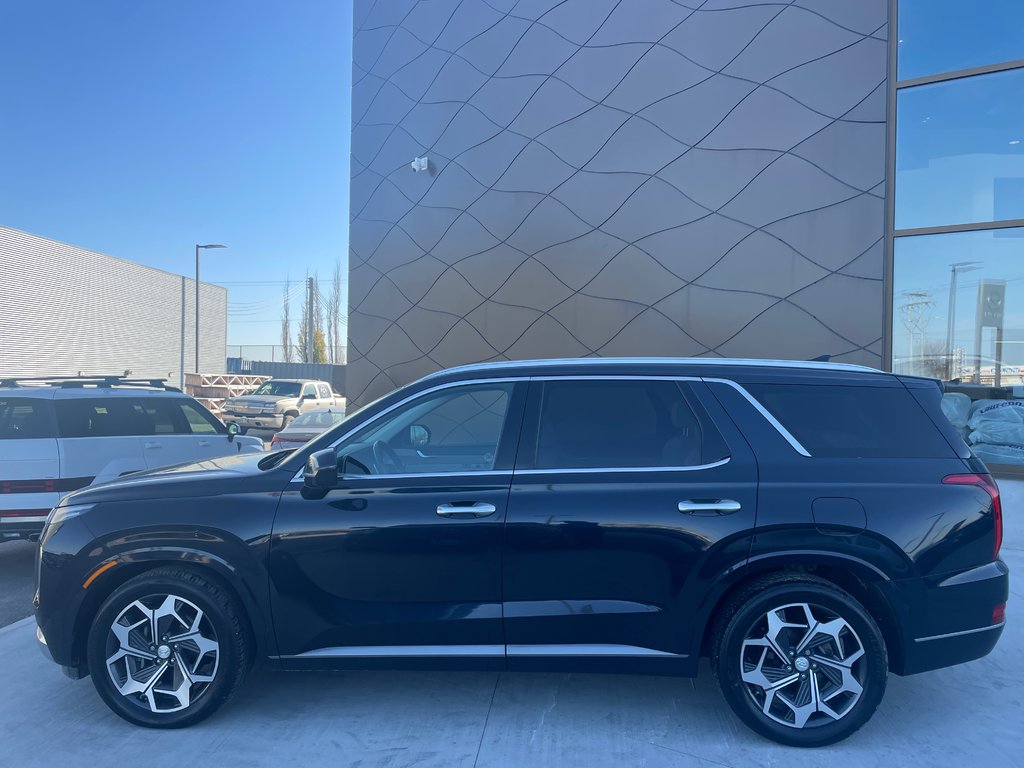 2021 Hyundai Palisade Ultimate Calligraphy in Winnipeg, Manitoba - 3 - w1024h768px