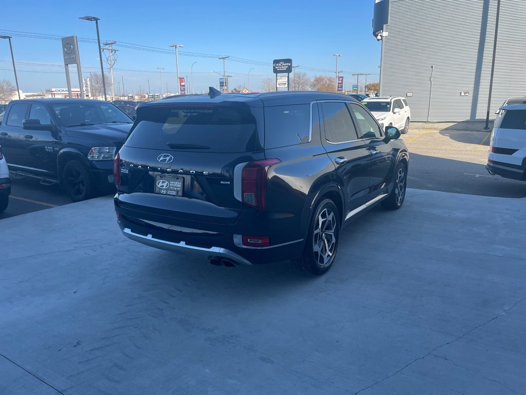 2021 Hyundai Palisade Ultimate Calligraphy in Winnipeg, Manitoba - 6 - w1024h768px