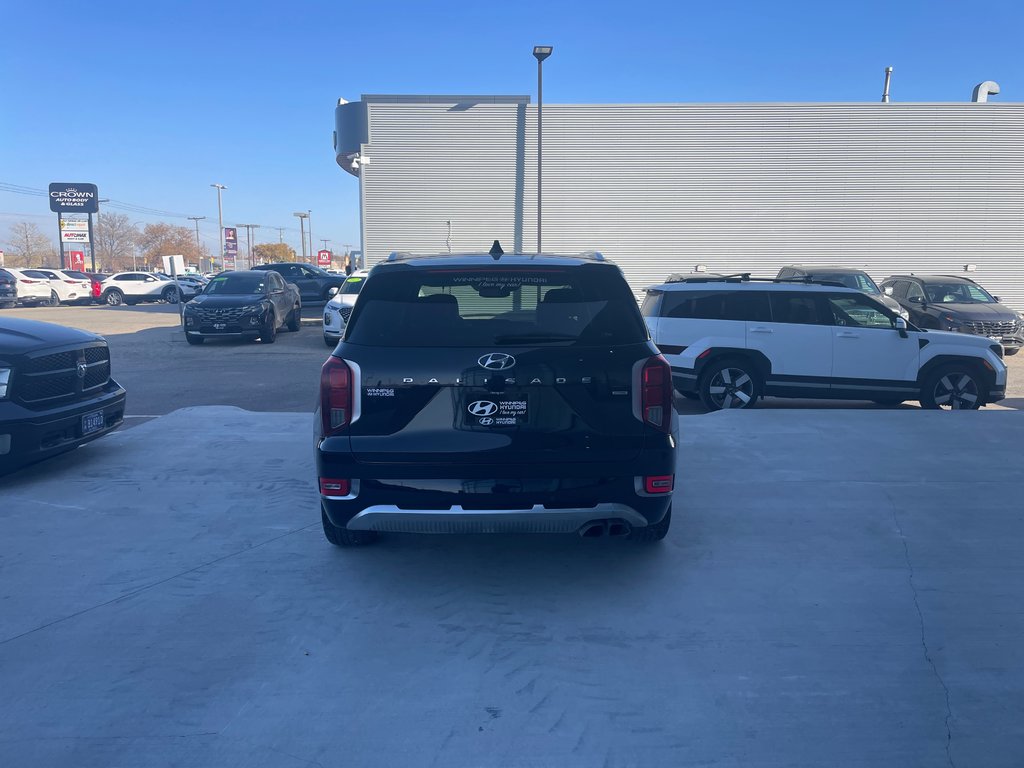 2021 Hyundai Palisade Ultimate Calligraphy in Winnipeg, Manitoba - 5 - w1024h768px