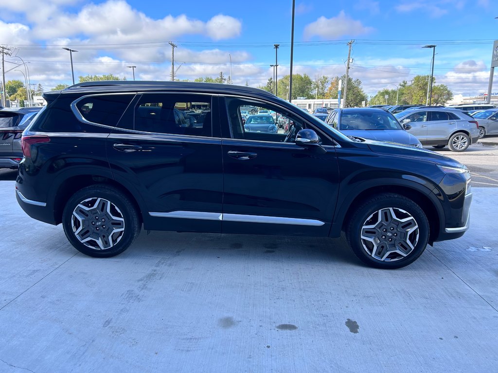 2021 Hyundai Santa Fe Hybrid Preferred in Winnipeg, Manitoba - 6 - w1024h768px