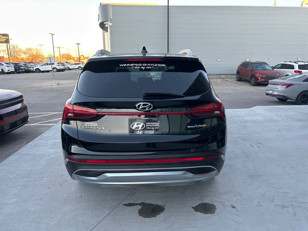 2023 Hyundai Santa Fe Hybrid Luxury in Winnipeg, Manitoba - 4 - w1024h768px