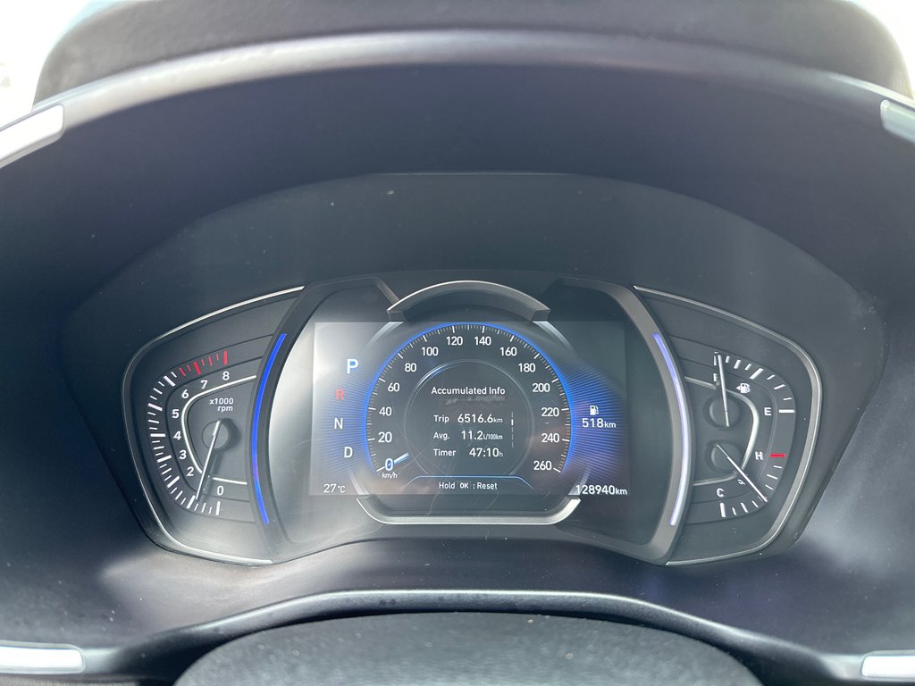 2019 Hyundai Santa Fe Luxury in Winnipeg, Manitoba - 19 - w1024h768px