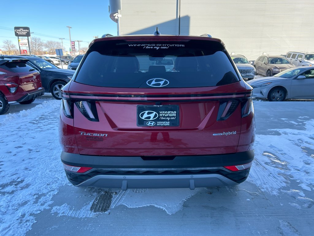 2022 Hyundai Tucson Hybrid Luxury in Winnipeg, Manitoba - 27 - w1024h768px