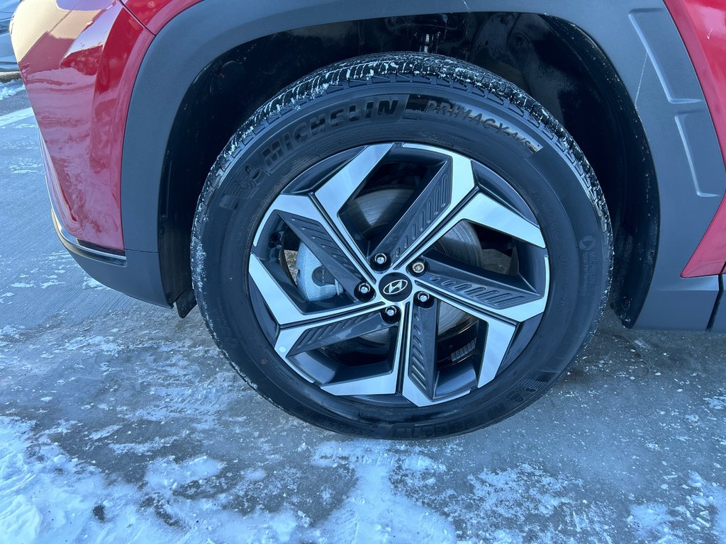 2022 Hyundai Tucson Hybrid Luxury in Winnipeg, Manitoba - 7 - w1024h768px