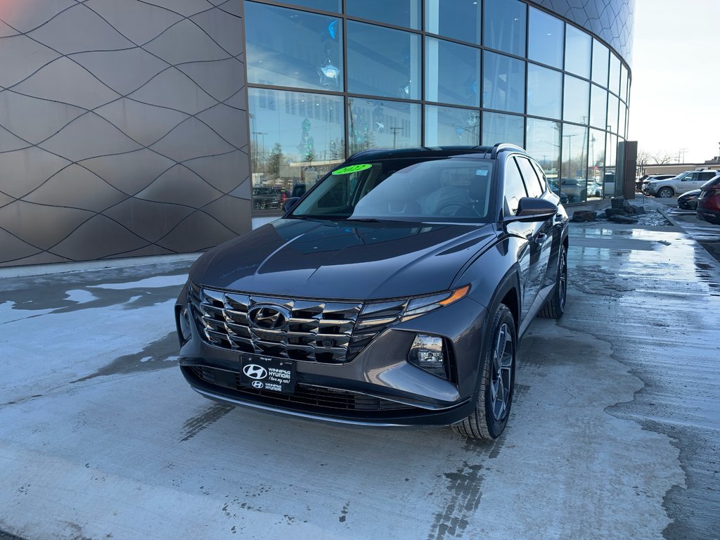2022 Hyundai Tucson Hybrid Luxury in Winnipeg, Manitoba - 1 - w1024h768px