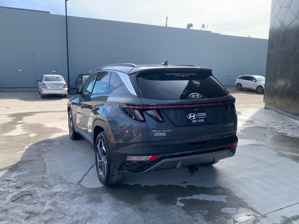 2022 Hyundai Tucson Hybrid Luxury in Winnipeg, Manitoba - 3 - w1024h768px