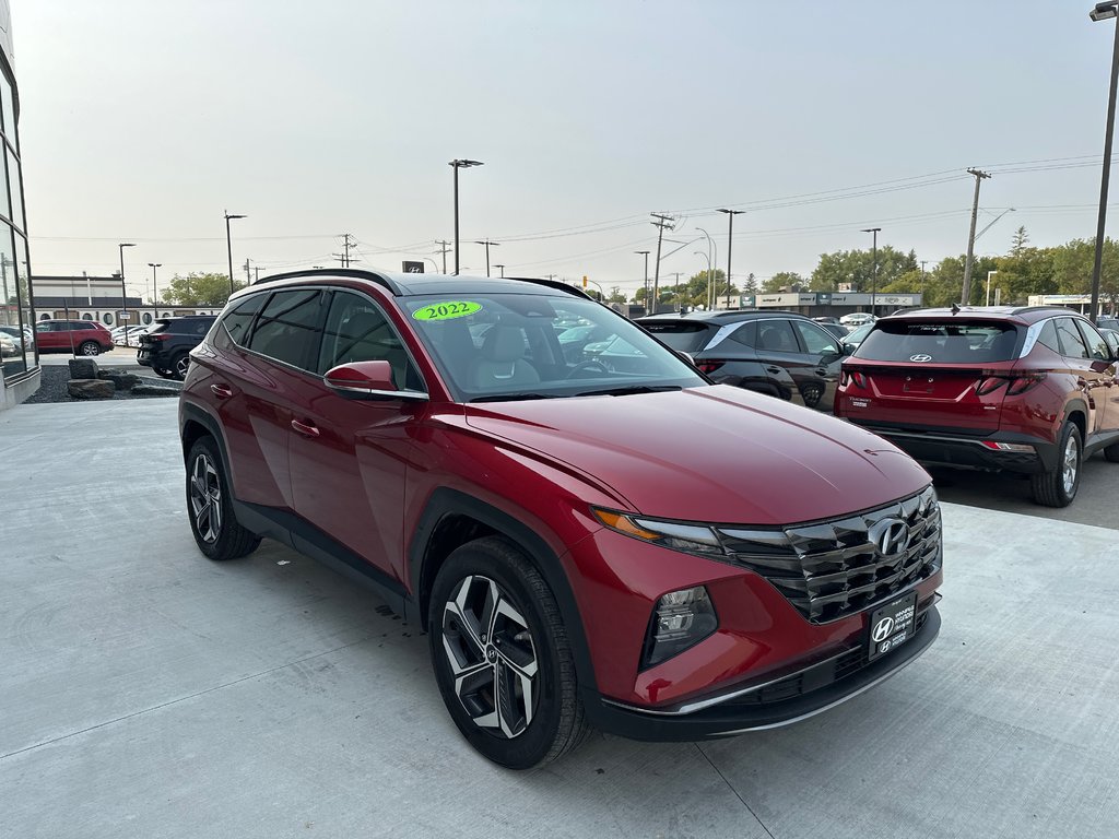 2022 Hyundai Tucson Hybrid Luxury in Winnipeg, Manitoba - 7 - w1024h768px