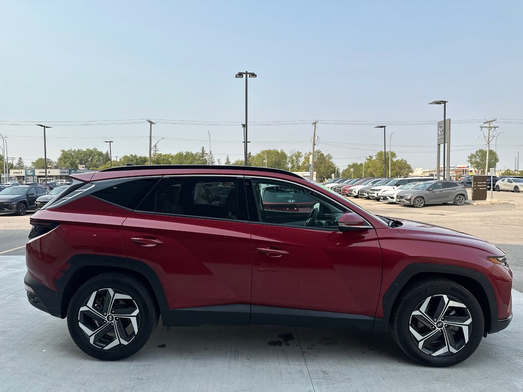 2022 Hyundai Tucson Hybrid Luxury in Winnipeg, Manitoba - 6 - w1024h768px