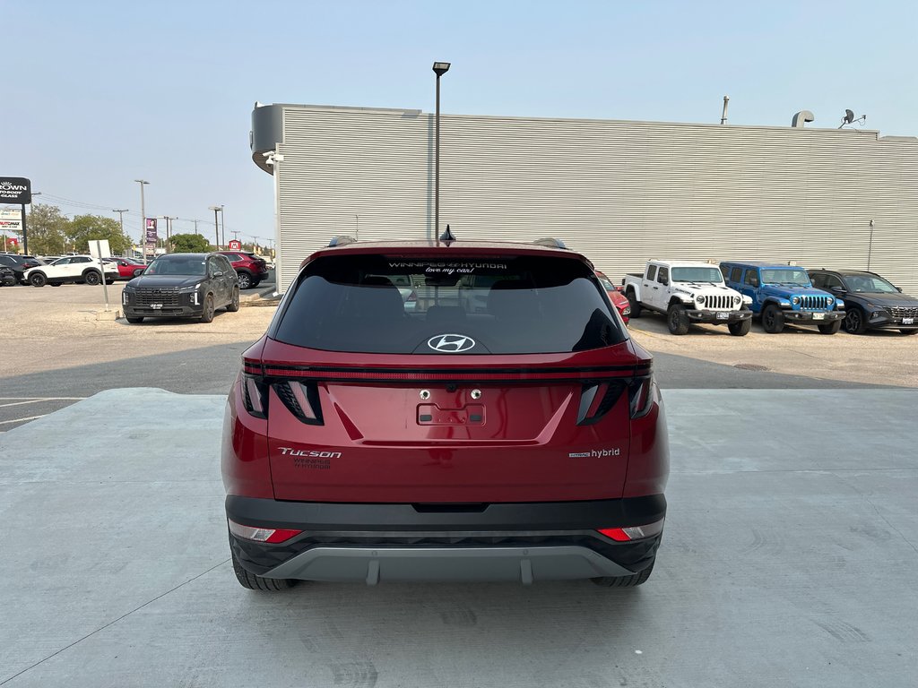 2022 Hyundai Tucson Hybrid Luxury in Winnipeg, Manitoba - 4 - w1024h768px