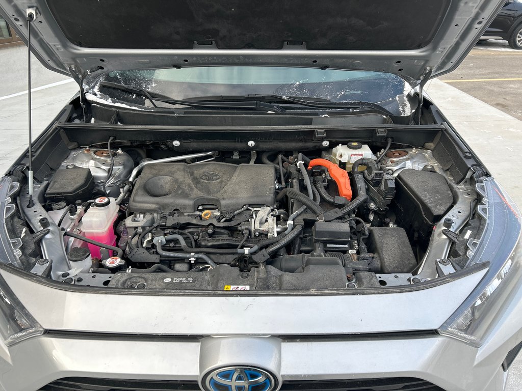 2019 Toyota RAV4 HYBRID LE in Winnipeg, Manitoba - 10 - w1024h768px
