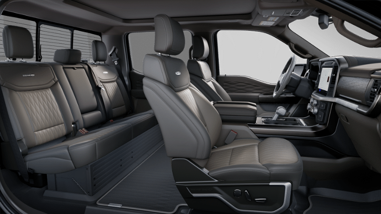 2025 Ford F-150 Platinum®-5