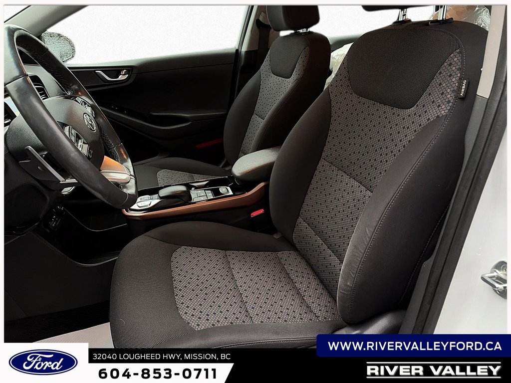 2019 Hyundai Ioniq Electric Base-6