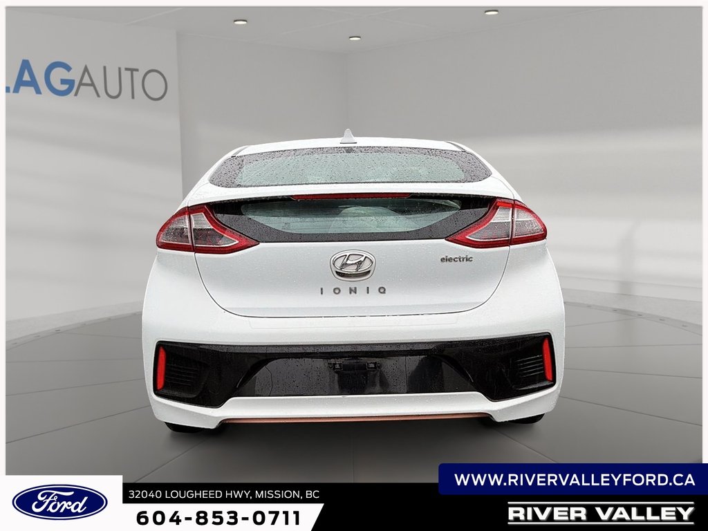 2019 Hyundai Ioniq Electric Base-2