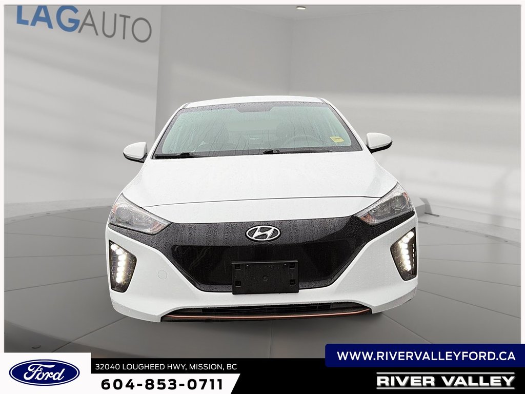 2019 Hyundai Ioniq Electric Base-1