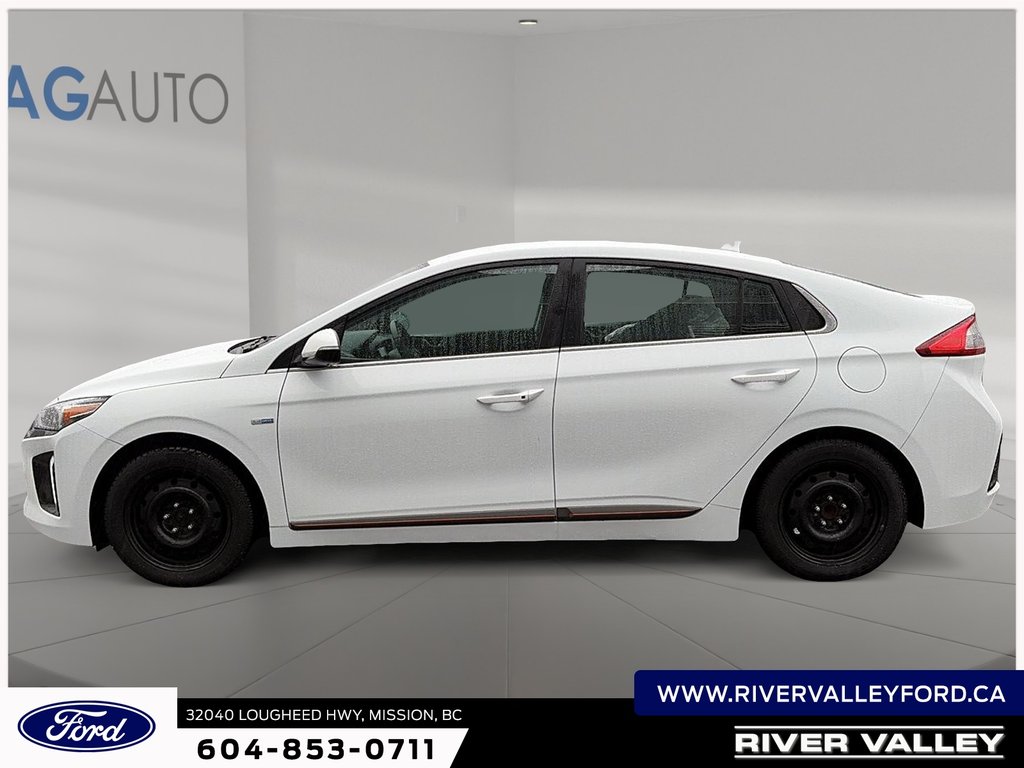 2019 Hyundai Ioniq Electric Base-4