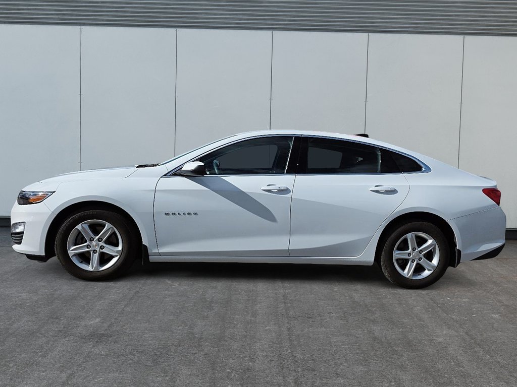 Chevrolet Malibu LS 2024 à Rivière-du-Loup, Québec - 5 - w1024h768px