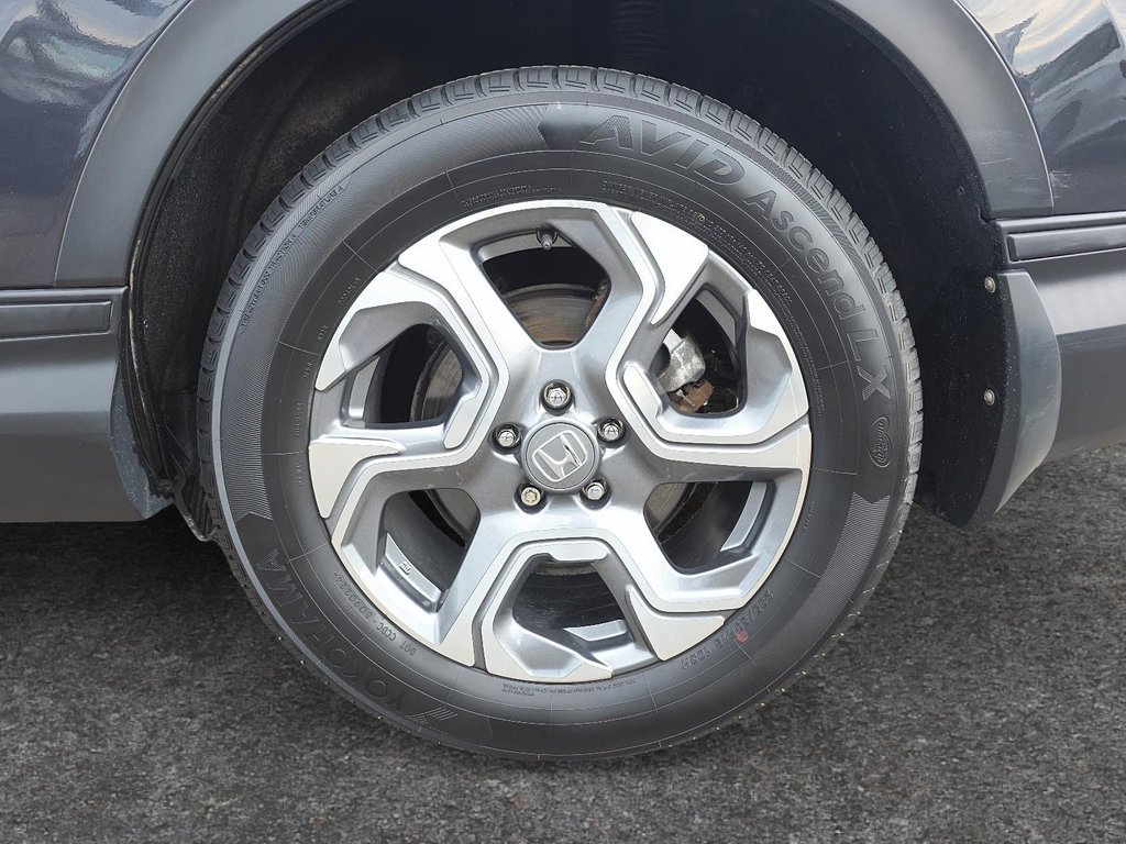 Honda CR-V EX-L 2019 à Rivière-du-Loup, Québec - 7 - w1024h768px