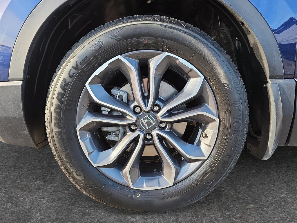 Honda CR-V EX-L 2020 à Rivière-du-Loup, Québec - 7 - w1024h768px
