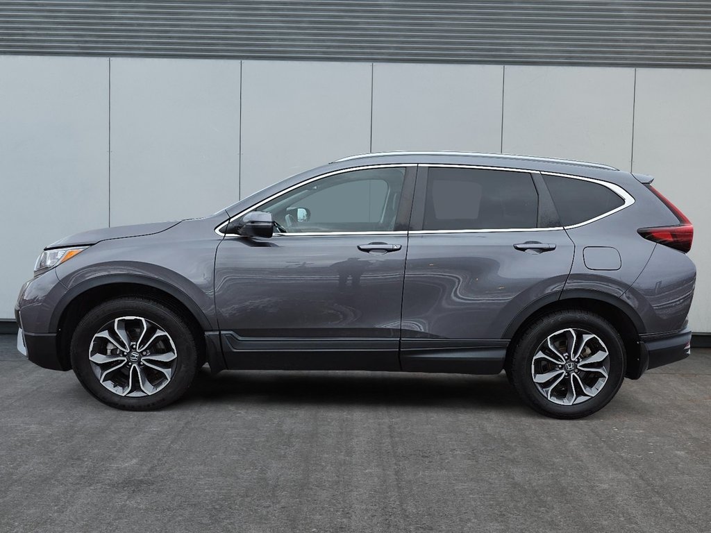 Honda CR-V EX-L 2021 à Rivière-du-Loup, Québec - 5 - w1024h768px