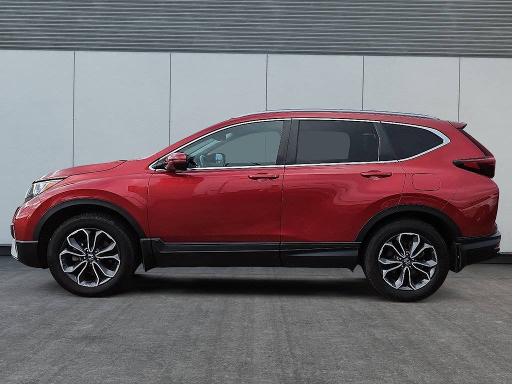 Honda CR-V EX-L 2022 à Rivière-du-Loup, Québec - 5 - w1024h768px