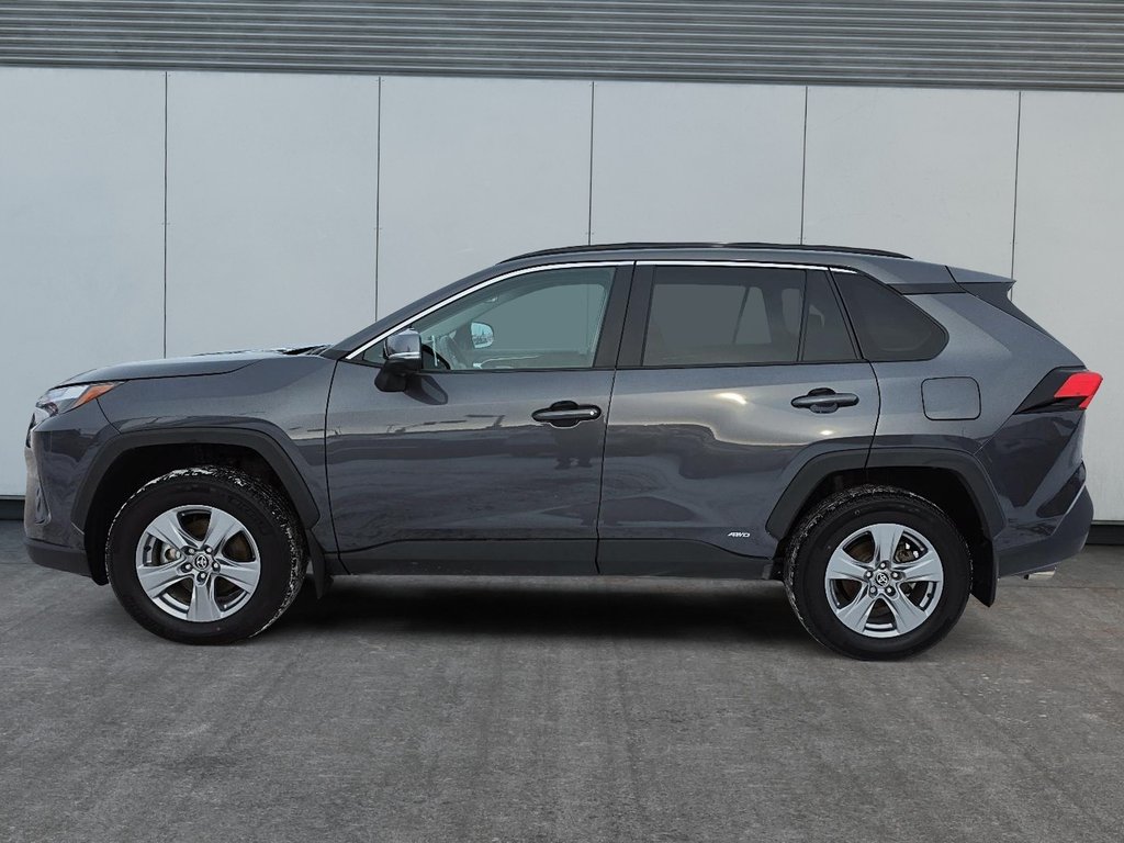 2025 Toyota RAV4 Hybrid XLE in Rivière-du-Loup, Quebec - 5 - w1024h768px