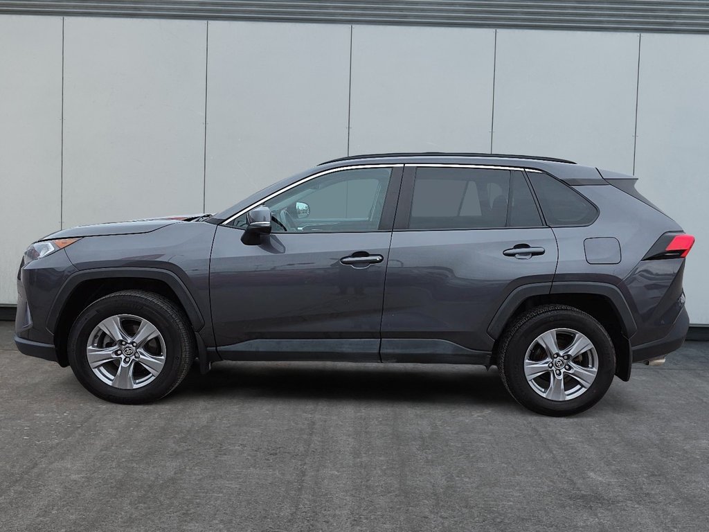 Toyota RAV4 XLE 2019 à Rivière-du-Loup, Québec - 5 - w1024h768px
