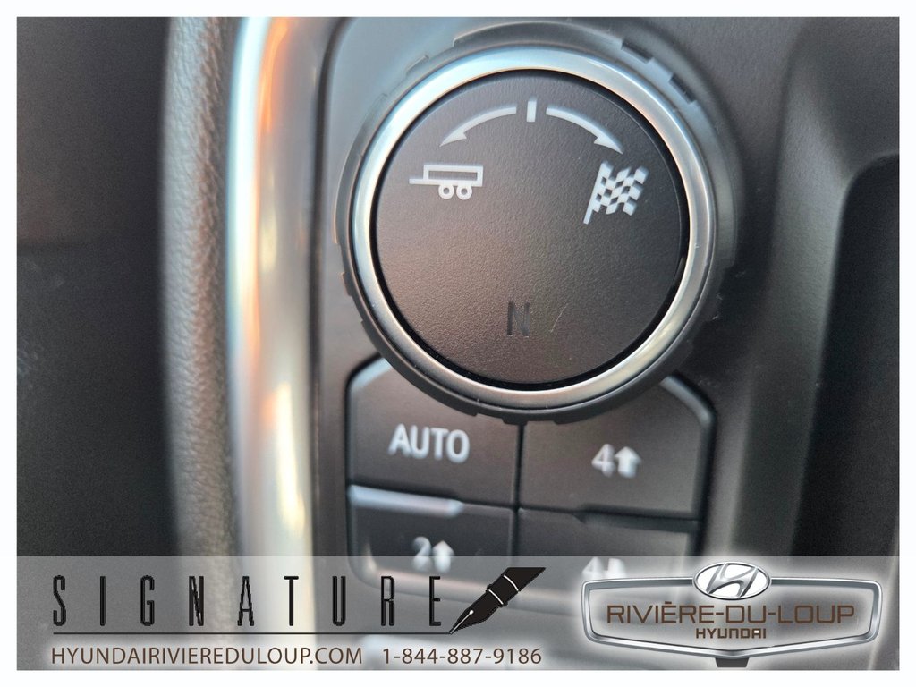 2019 Chevrolet Silverado 1500 RST,CREW CAB,4X4,V8 5.3 LITRES in Riviere-Du-Loup, Quebec - 30 - w1024h768px