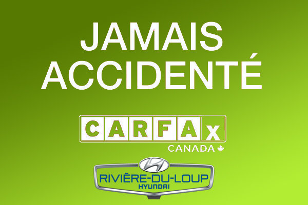 GV60 EV,ADVANCED,AWD,TOIT,CUIR,MAGS,GPS 2023 à Riviere-Du-Loup, Québec - 31 - w1024h768px
