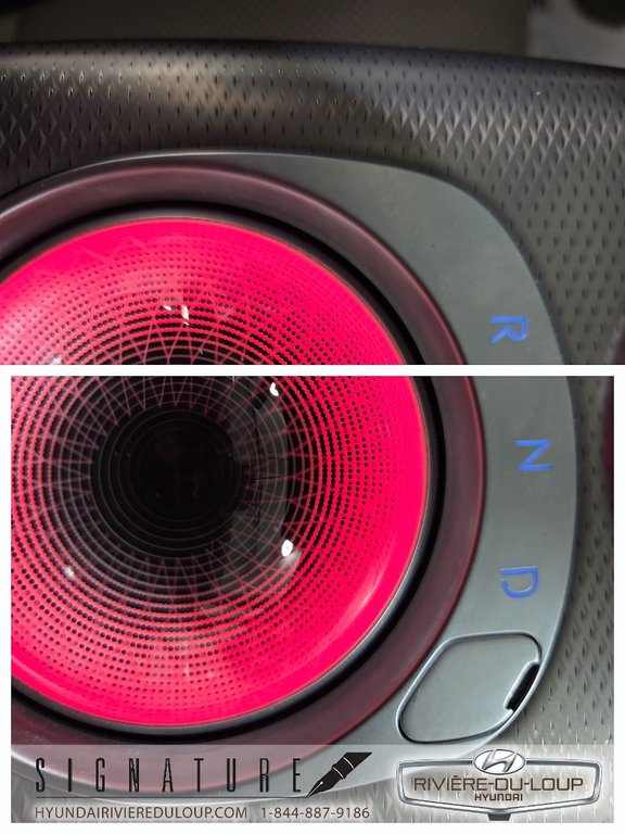 2023 GENESIS GV60 ADVANCED,AWD,CUIR,TOIT,GPS. in Riviere-Du-Loup, Quebec - 19 - w1024h768px