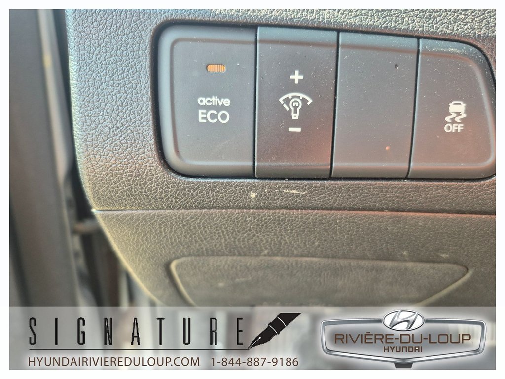 2016 Hyundai Elantra Sport Appearance in Riviere-Du-Loup, Quebec - 21 - w1024h768px