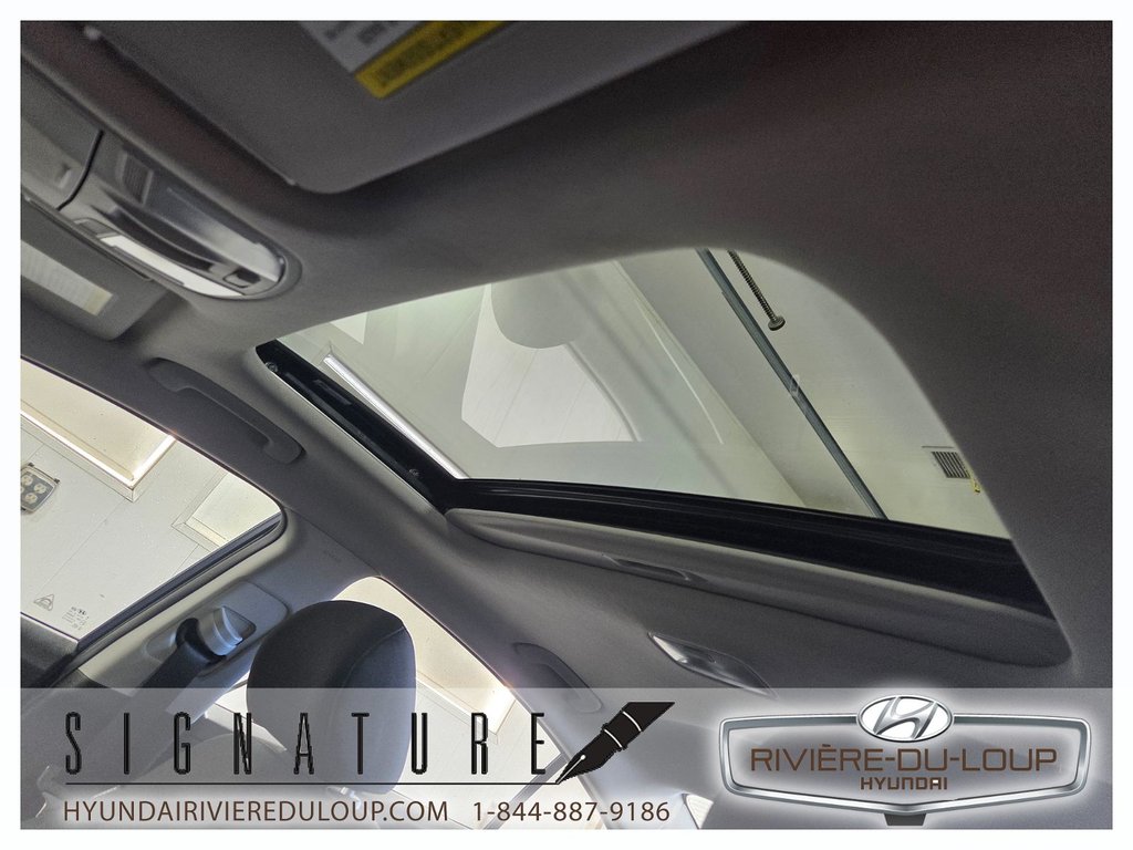 Hyundai Elantra Preferred w/Sun & Safety Package 2020 à Riviere-Du-Loup, Québec - 16 - w1024h768px