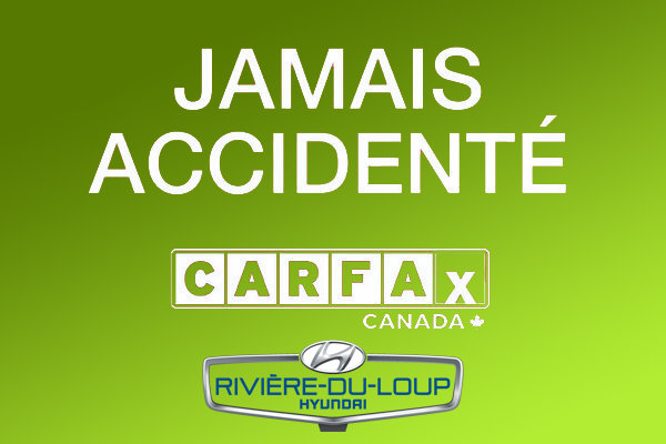 2024 Hyundai Elantra PREFERRED,A/C,CRUISE,MAGS in Riviere-Du-Loup, Quebec - 14 - w1024h768px