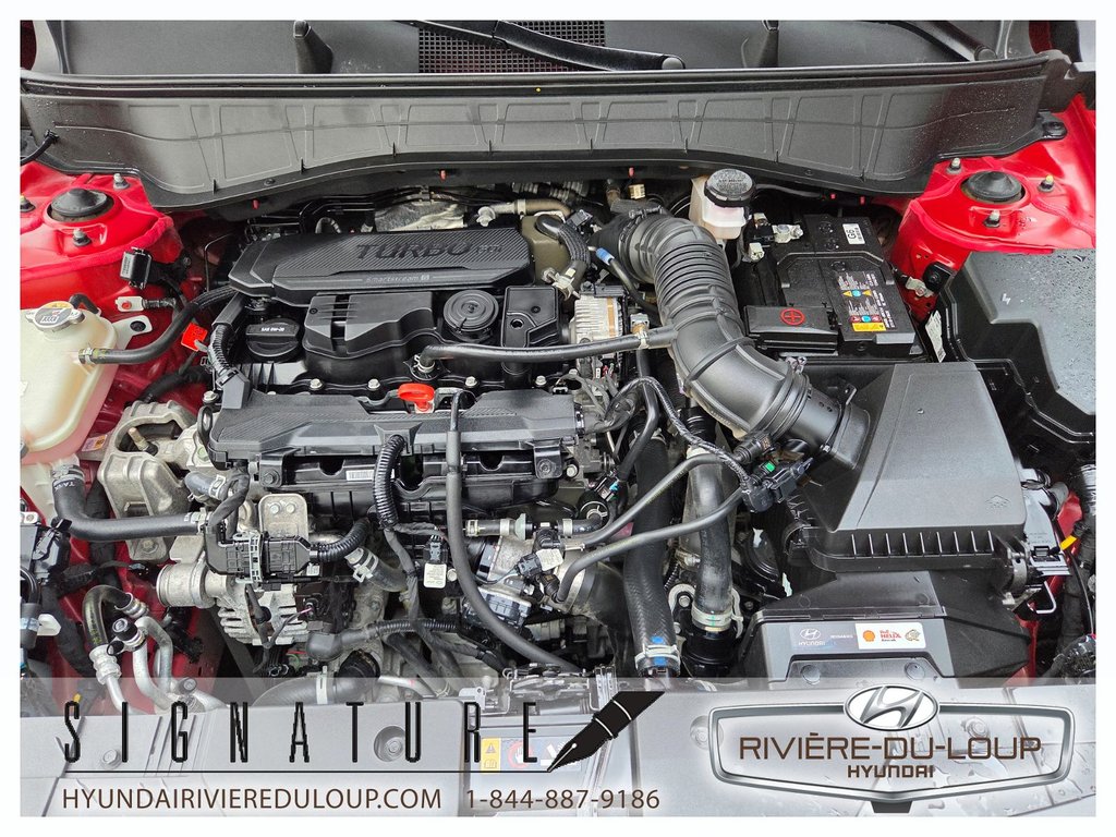 2024 Hyundai Kona N-LINE ULTIMATE,AWD,CUIR,TOIT,MAG in Riviere-Du-Loup, Quebec - 37 - w1024h768px