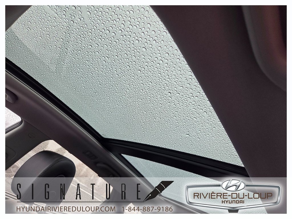 Hyundai Santa Fe Sport LUXURY,AWD,MAGS,TOIT,CUIR 2016 à Riviere-Du-Loup, Québec - 21 - w1024h768px