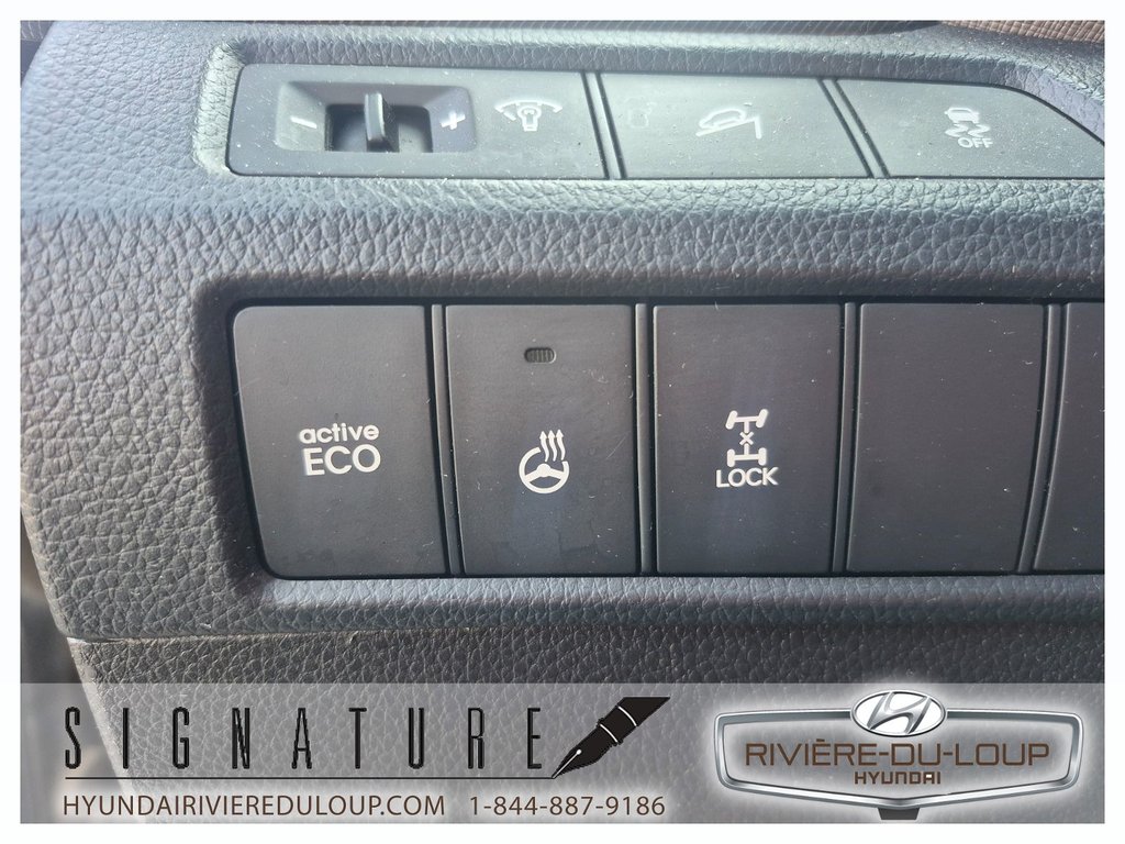 Hyundai Santa Fe Premium,AWD A/C 2013 à Riviere-Du-Loup, Québec - 20 - w1024h768px
