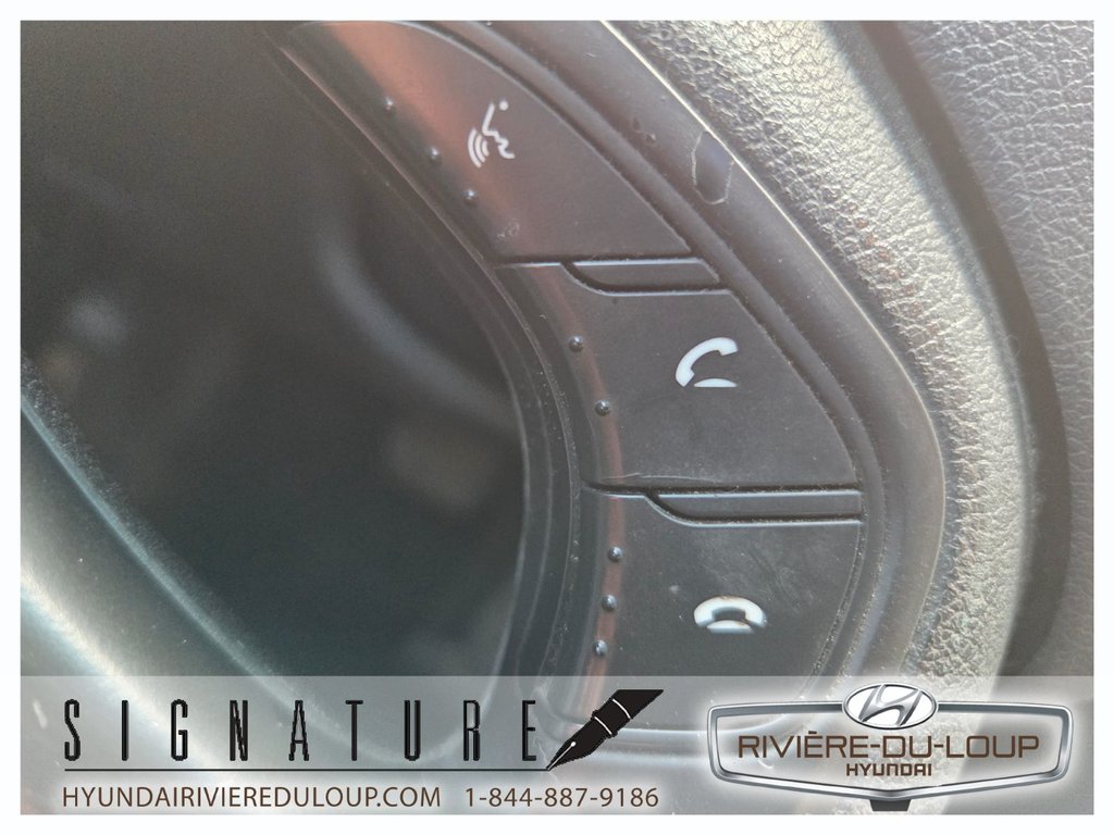 Hyundai Sonata LIMITED 2013 à Riviere-Du-Loup, Québec - 22 - w1024h768px